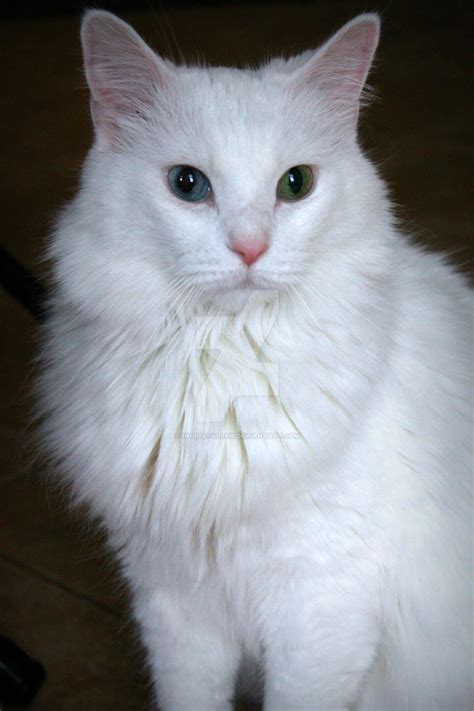 Prince Estel by indirafallen on DeviantArt