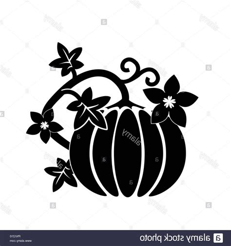 Pumpkin Silhouette Vector at Vectorified.com | Collection of Pumpkin ...