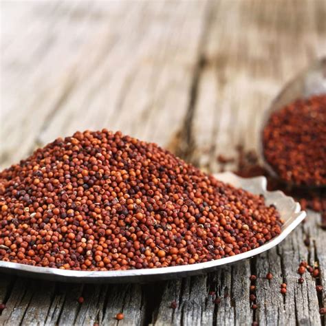 Certified Organic Ragi Whole Finger Millet Nachni Puretree Foods
