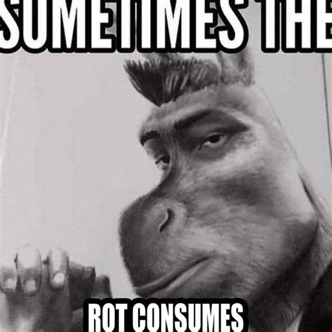 The Rot Consumes Meme The Rot Consumes Know Your Meme