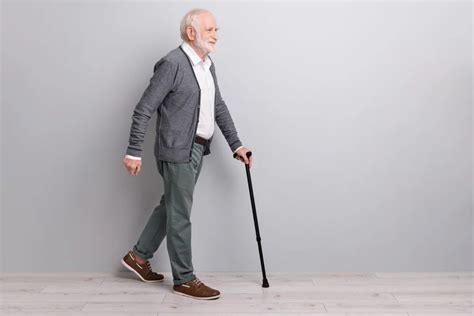 Walking Stick