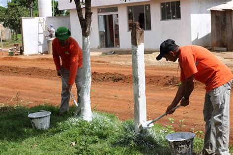 Prefeitura de Goianorte promove mutirão no distrito Esperança Bendita