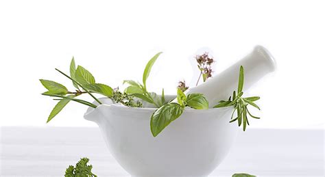 Pace Pharmacy And Compounding Experts Toronto On