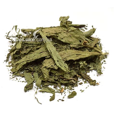 Стевия – купить по доступной цене | Специи Делюкс