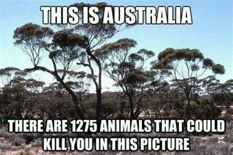 Pin By Joyce Dowdell On Humor Australia Funny Australian Memes