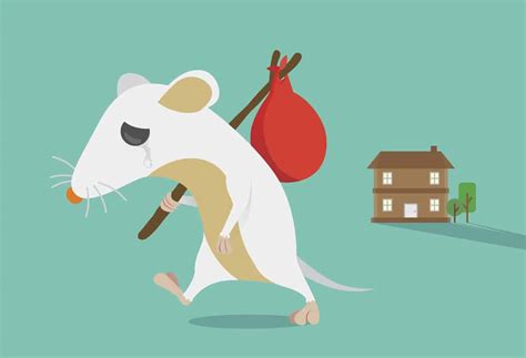 How To Get Rid Of Mice Naturally? [12 Actionable Tips] - Mouse Trap Guide