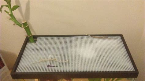 10 Helpful DIY Fish Tank Lid Plans You Can Make Today (With Pictures ...