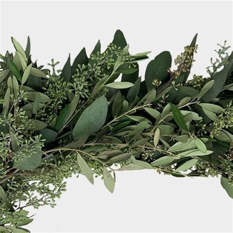 Garland Seeded Eucalyptus & Olive - 8 Feet - Wholesale - Blooms By The Box