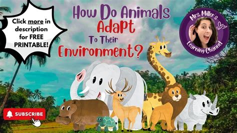 Nwea Practice Test 2nd Grade