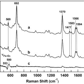 Resonance Raman Spectra Of Oxygenated Hydrogenobactor Thermophilus M A