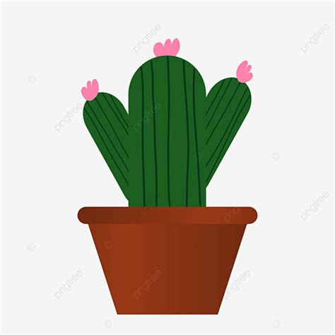 Cactus Pot Hd Transparent Cute Cactus In A Pot Cactus Plant Nature