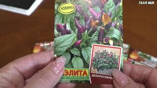 Перец Алладин: отзывы, описание сорта, фото, видео, отзывы ...