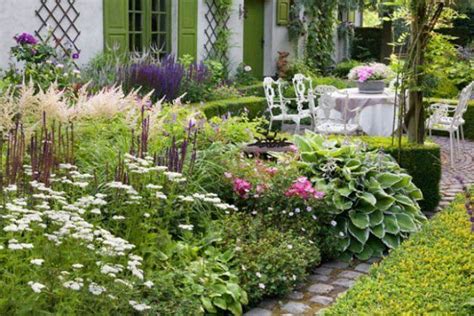 Как красиво разместить хосты на участке | Hostas, Garden landscaping ...