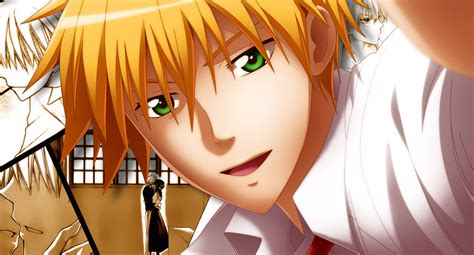 Download Kaichou Wa Maid Sama Usui Misaki Vector Wallpaper | Wallpapers.com