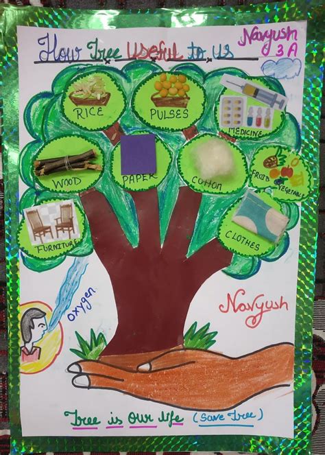 Useful Things We Get From Plants Activity Tree Uses Things We Get From