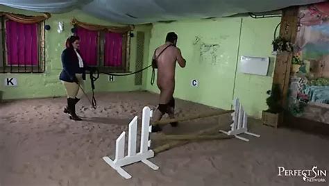 Free Dressage Porn Videos XHamster