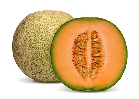 Cantaloupe Growing Stages Pictures