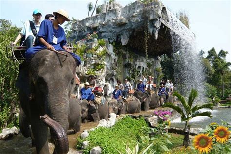 Damnoen Saduak Floating Market Crocodile Farm And Elephant Show