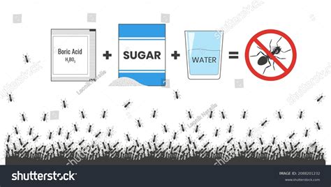1045 Brown Sugar Ant Images Stock Photos And Vectors Shutterstock