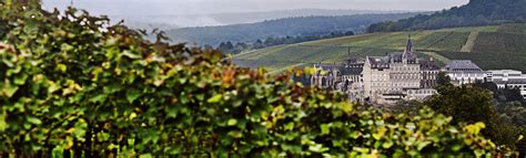 German Pinot Noir Is the Buzzy Alternative to Pricey Burgundy - Bloomberg