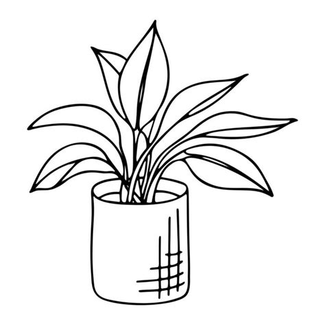 page  potted plant outline vector art icons  graphics