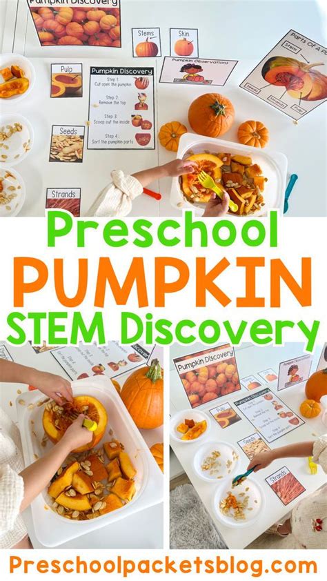 On the hunt for pumpkin themed activities to keep your preschool ...