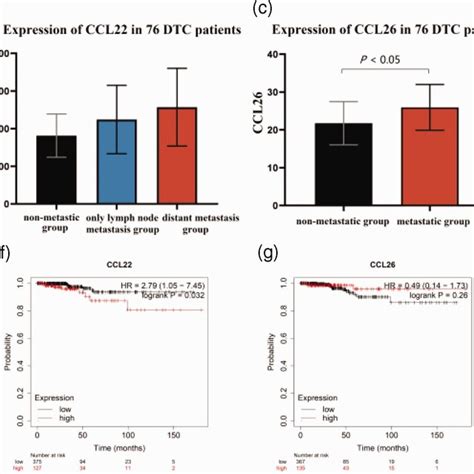 ccl  ccl expression   dtc patients stratified