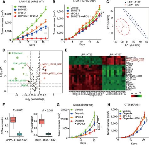 Figure 1 From MEK Inhibition Remodels The Immune Landscape Of Mutant