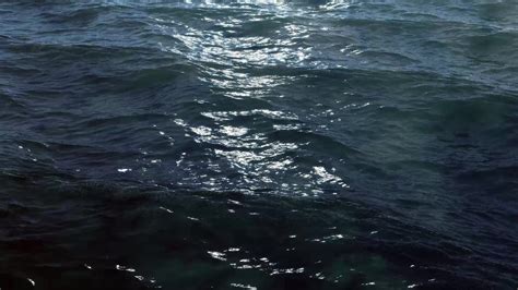 Silent World Diving Systems scuba diving training and travel, aquatic ...