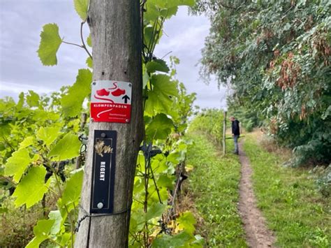 Klompenpad Staickheimer Weergaloos Wandelen Aan De Duitse Grens