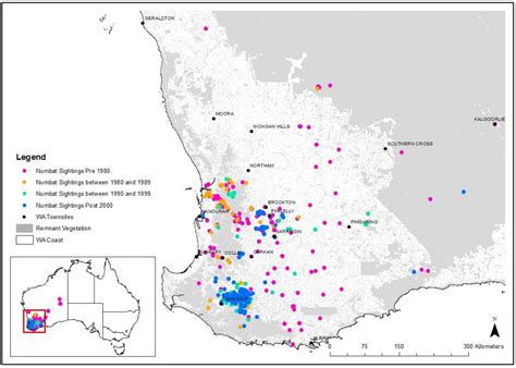 Wilderness Society | Numbat (WA)