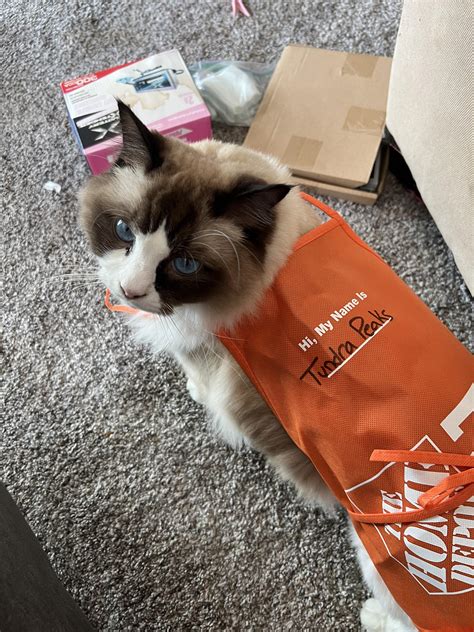 Homedepot com my card login is faster with the new app 20