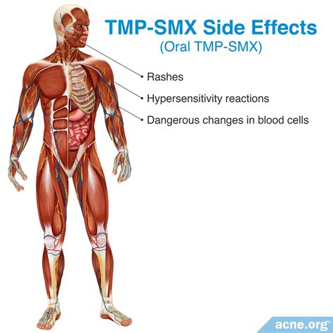 The Side Effects of Antibiotics - Acne.org