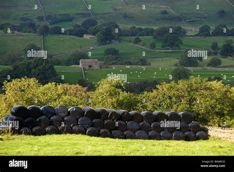 Stack Of Big Bale Silage In Field Wensleydale North Yorkshire Stock