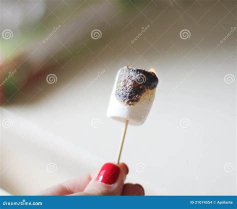 Marshmallow Stock Photo Image Of Roasted Burn Smoke 21074554