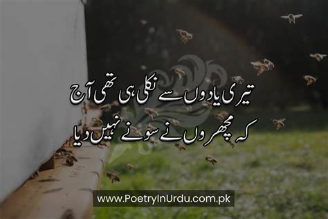 Funny Poetry In Urdu Text Hindi Text Poetry In Urdu