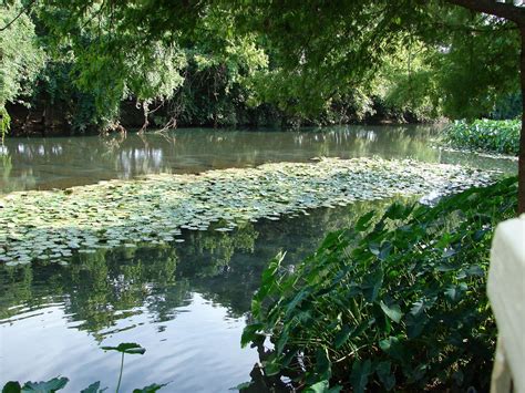 Comal River | Natural Atlas