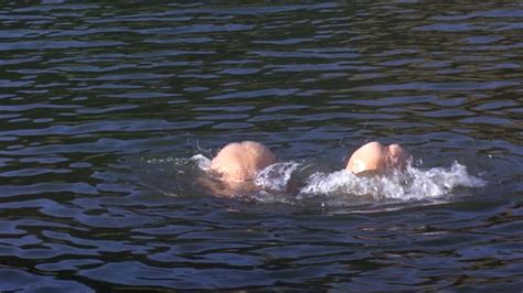 Carey More Nude Naked Pics And Sex Scenes At Mr Skin