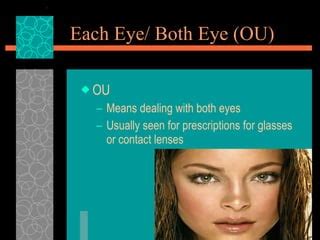 anatomy  physiology   eye