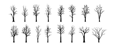 Premium Vector Set Of Dead Tree Silhouettes Isolated On White