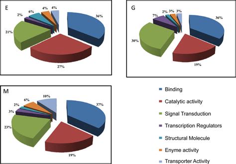 Functional classification of differentially expressed genes during ...