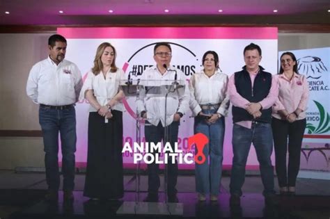 Gobernantes Marea Rosa Pide Voto Til A Favor De X Chitl