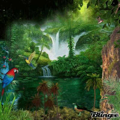 Jungle Picture #106900267 | Blingee.com