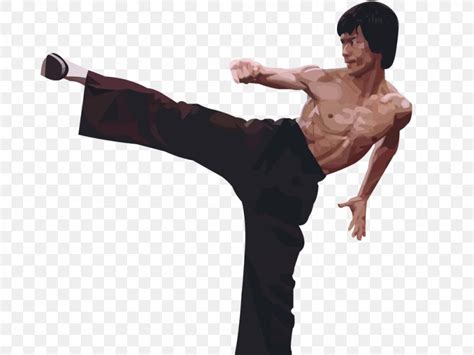 Bruce Lee Silhouette Kick