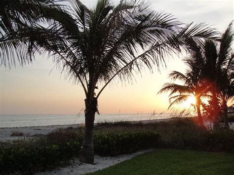 Free stock photo of beach, florida, palm trees