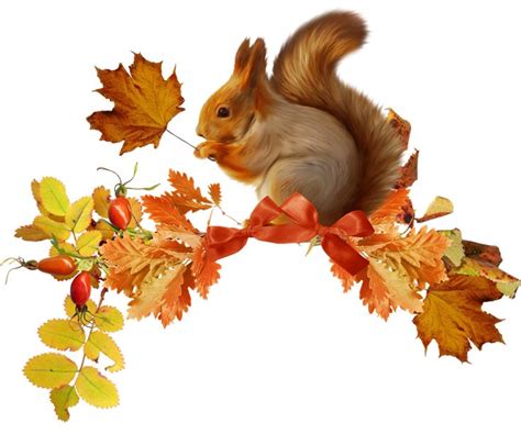 An Image Of A Squirrel With Autumn Leaves