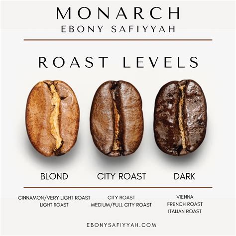 coffee roast levels explained monarch ebony safiyyah