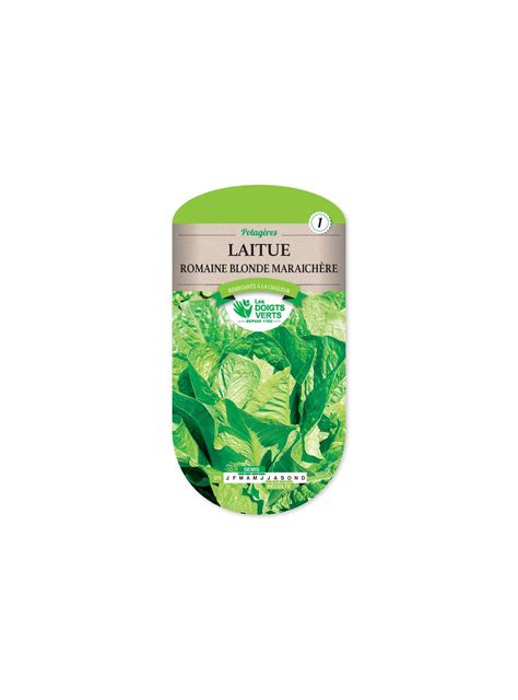 Laitue Romaine Blonde Maraichere Graines De Les Doigts Verts Gra