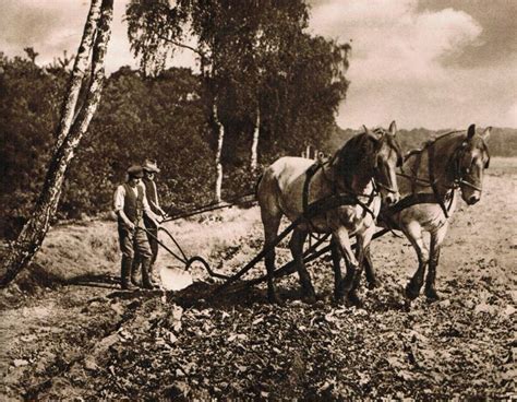 Wilstedt Landwirtschaft Fr Her Und Heute