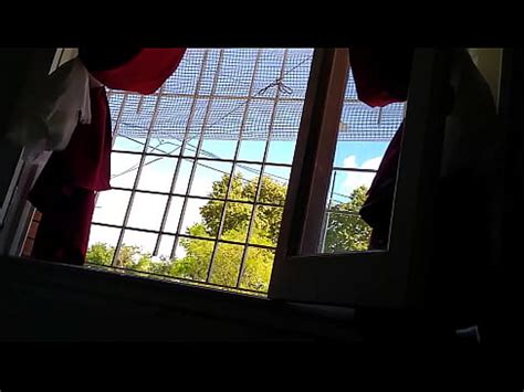 OTRA PAJA FRENTE A LA VENTANA EN CUARENTENA XVIDEOS